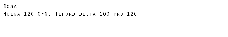 Roma Holga 120 CFN, Ilford delta 100 pro 120